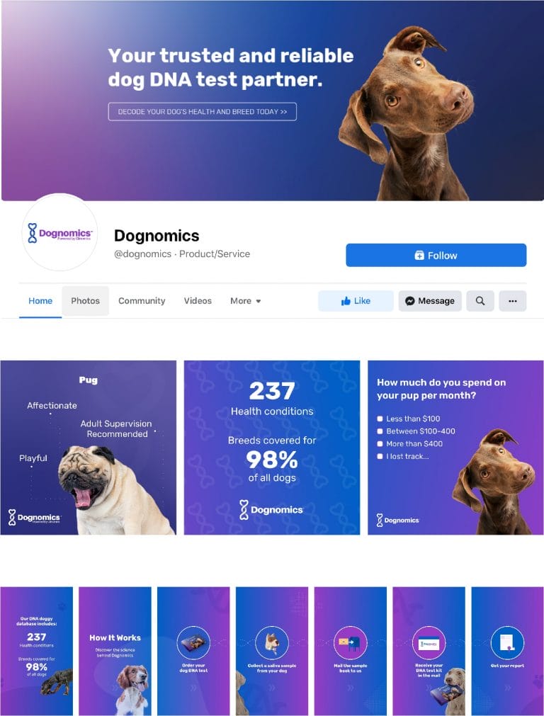 Color schemes on Dognomics' style guide