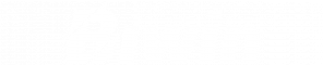 Biwin Consumer Logo_white 296×60-01