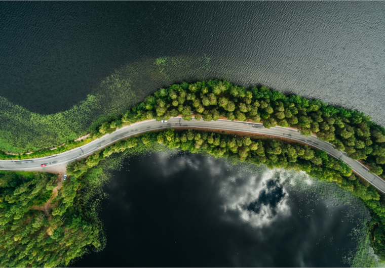 A road through the woods and by the lake