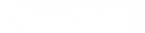 devensoft_logo