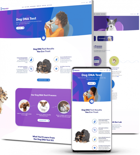 WordPress web design company featured example: Dognomics